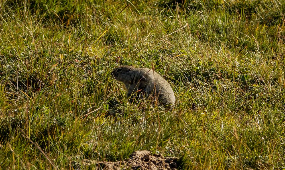 Photograph by Игорь Сидун