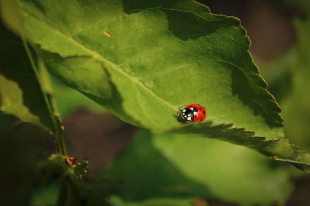 Photograph by Андрей Астафьев