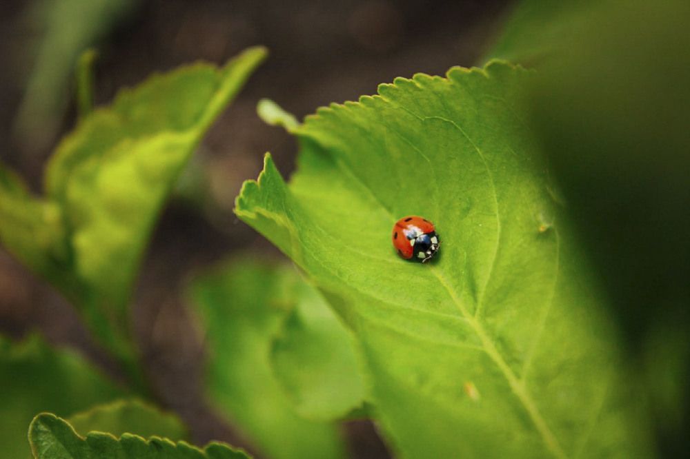 Photograph by Андрей Астафьев