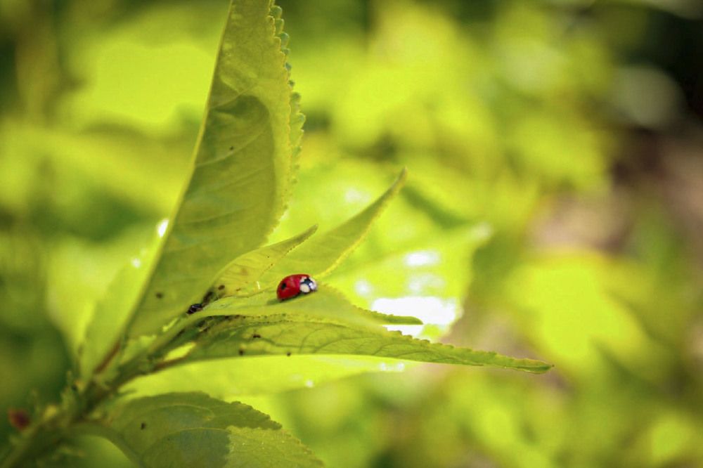 Photograph by Андрей Астафьев