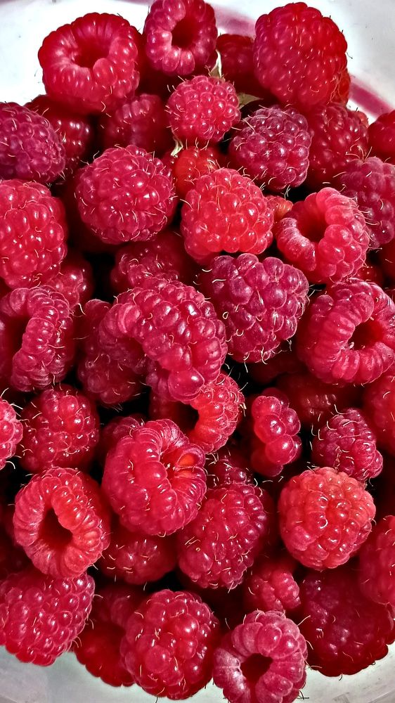 Photograph by Ольга Рогозина