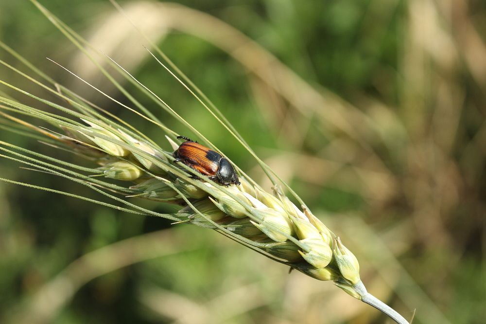 Photograph by Елена Кузнецова