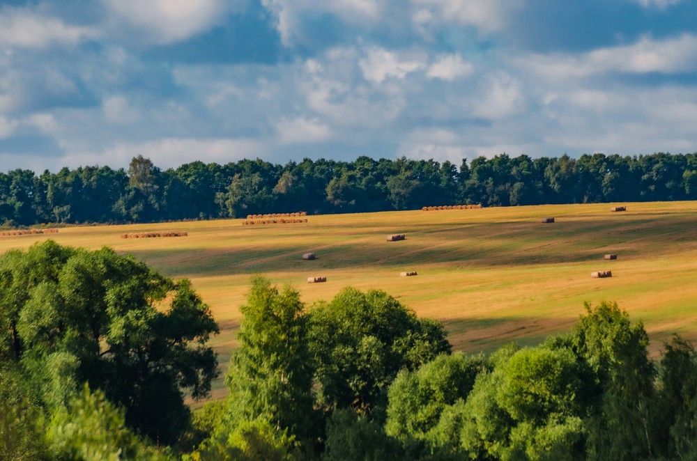 Photograph by Дмитрий Граждан