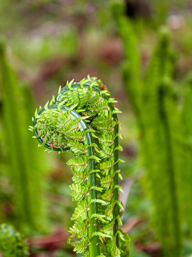 Photograph by Сергей Христинич