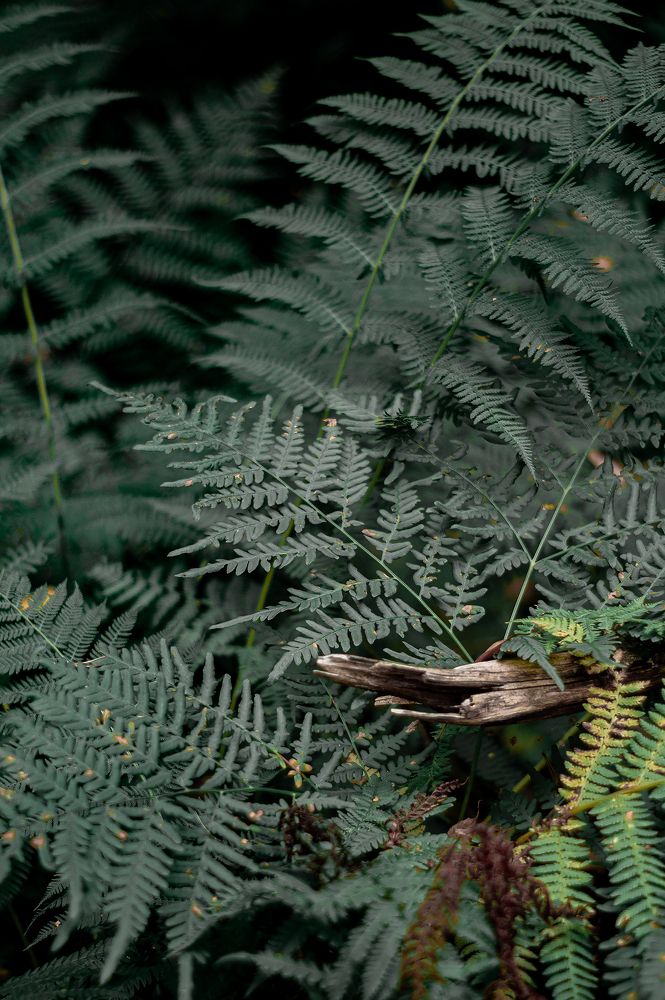 Photograph by Егор