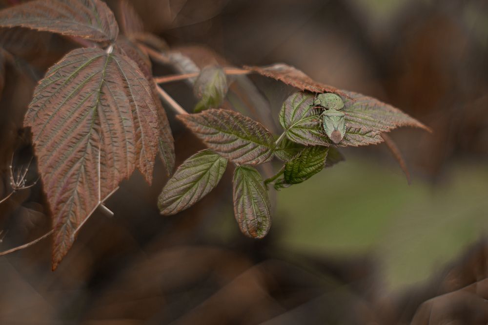 Photograph by Егор