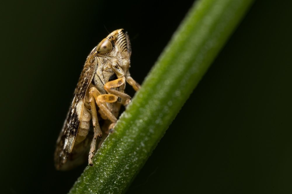 Фотография автора Krisztina Mácsai