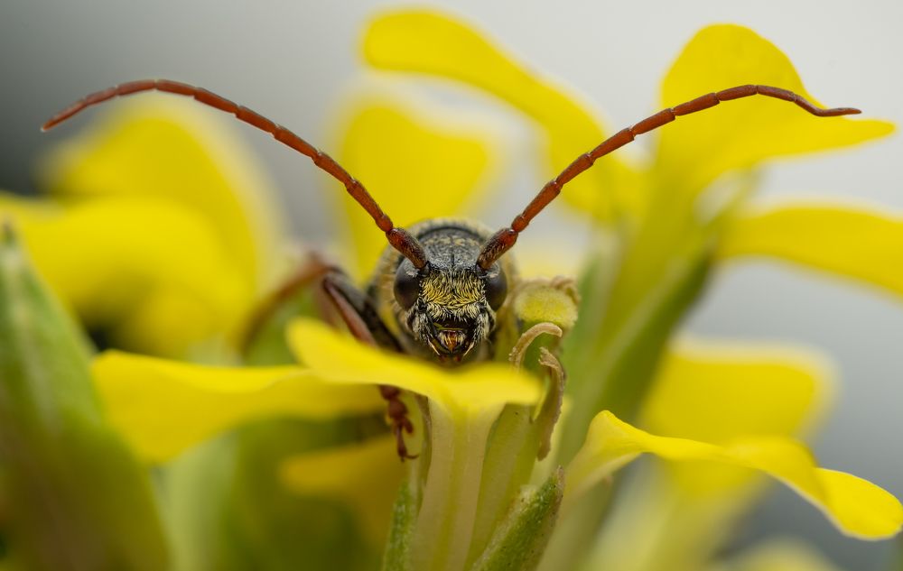 Photograph by Krisztina Mácsai