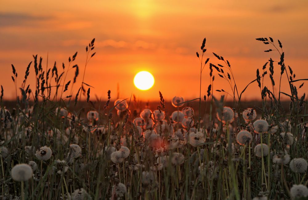 Photograph by Юрий Яковлев