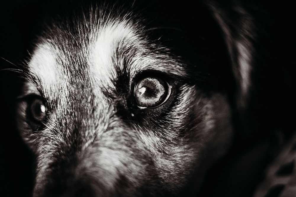 Photograph by Элла Алексеева