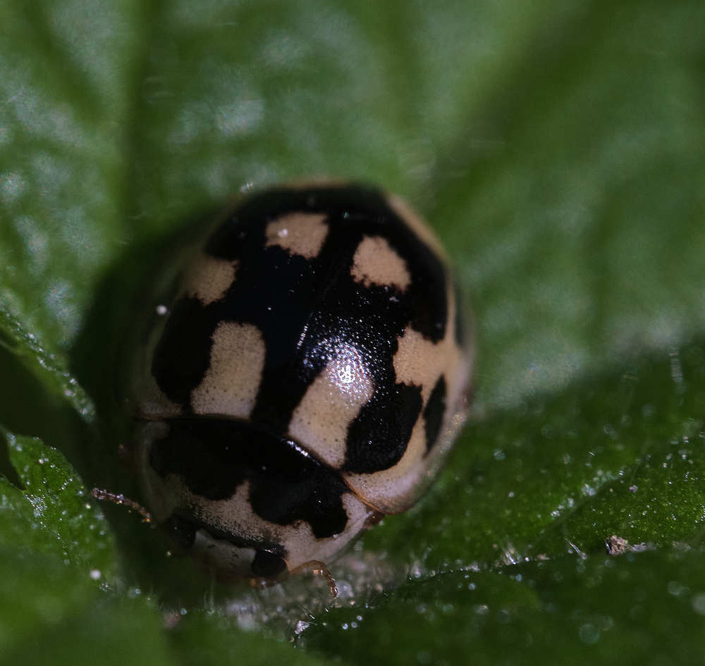 Photograph by Дмитрий Емельянов