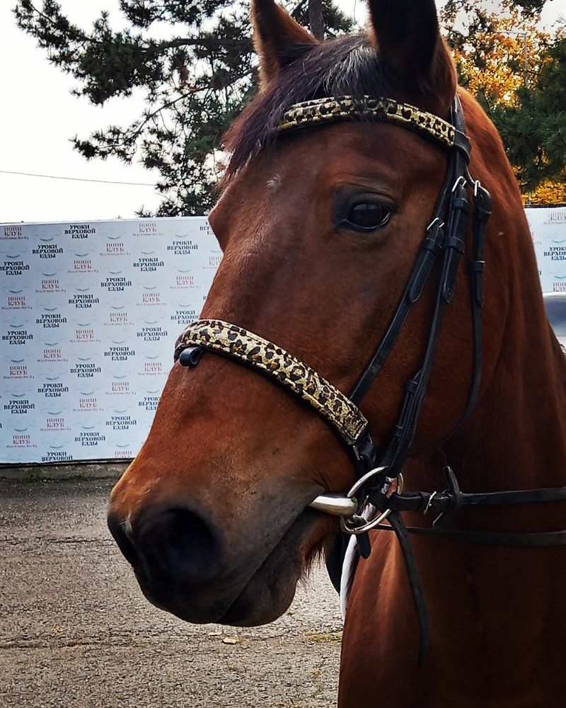 Photograph by Марина Храпова