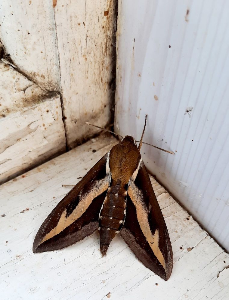 Photograph by Елена Симонова