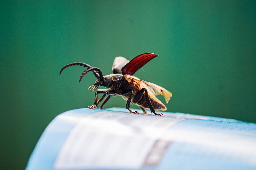 Photograph by Сергей Саврасов