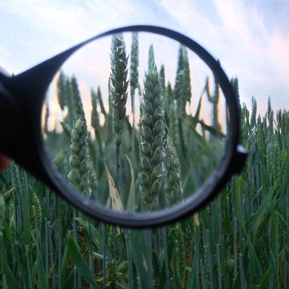 Фотография автора Геннадий Ломеко