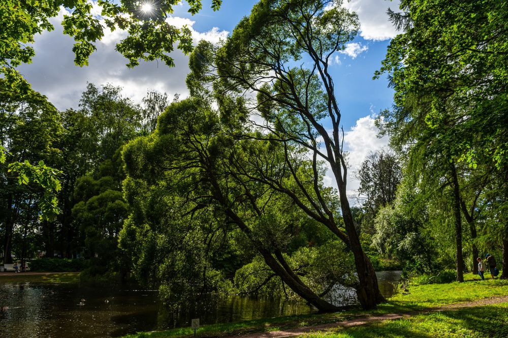 Photograph by Марина Короткова