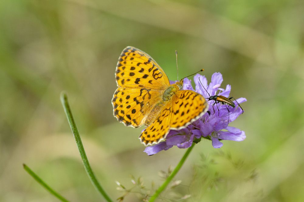 Photograph by Геннадий Сажин