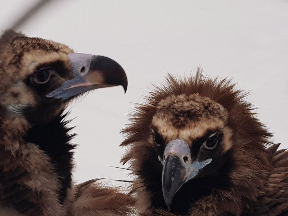 Photograph by Svetlana Khromova