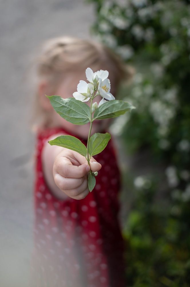 Photograph by Буря Алина