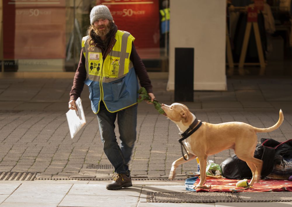 Photograph by FLORINDA LOREDANA CIURARU
