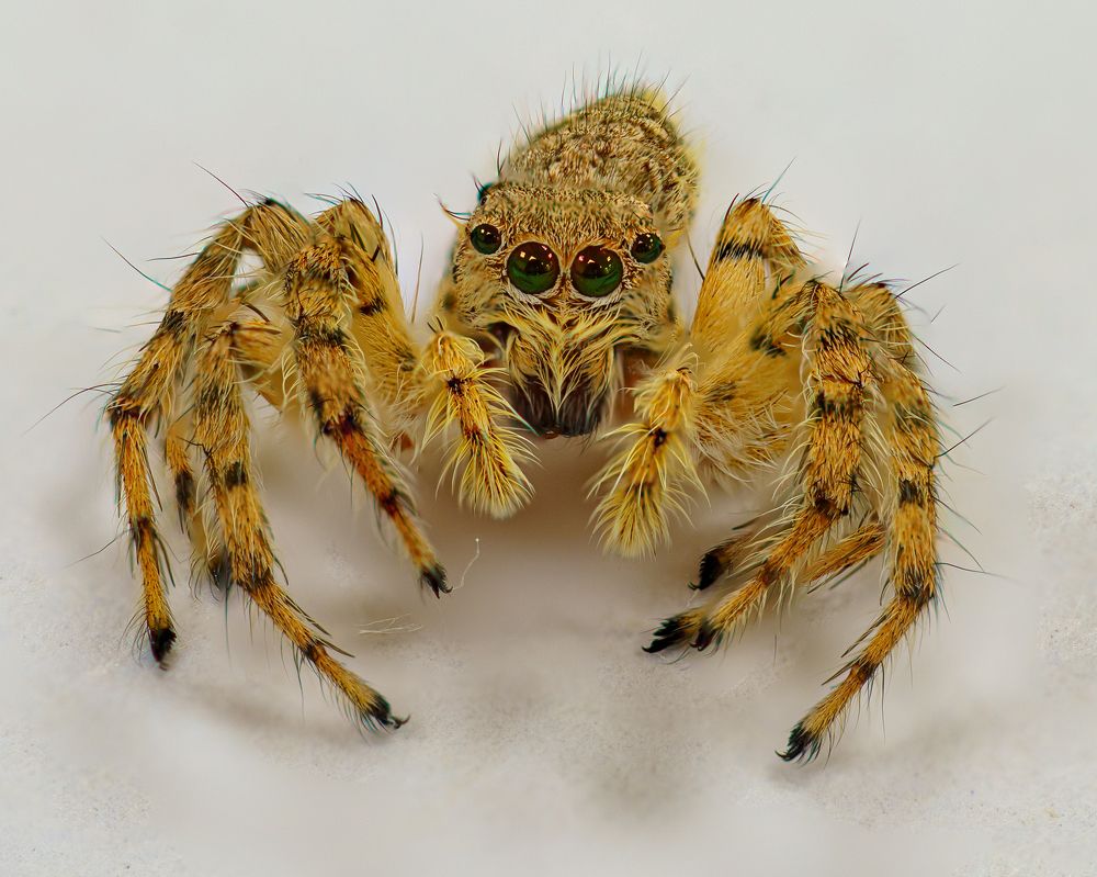 Photograph by Moshtaq AlDelaimy