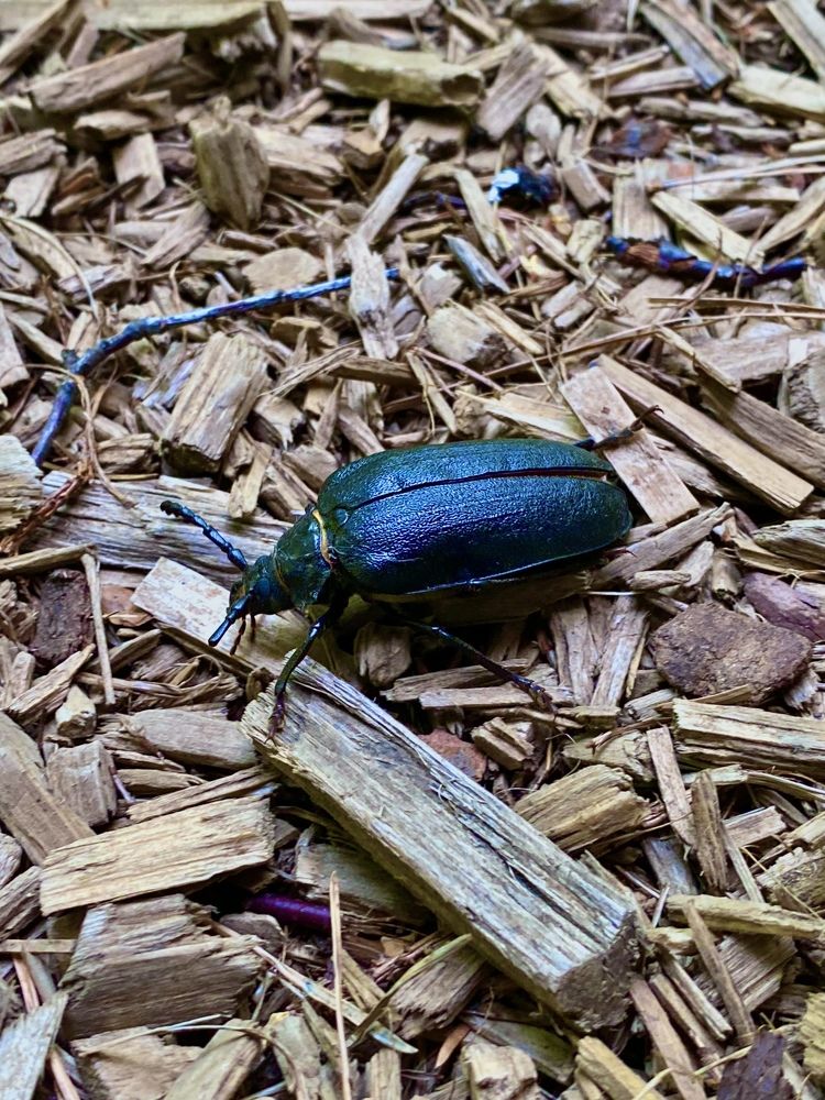 Фотография автора Александр Заикин