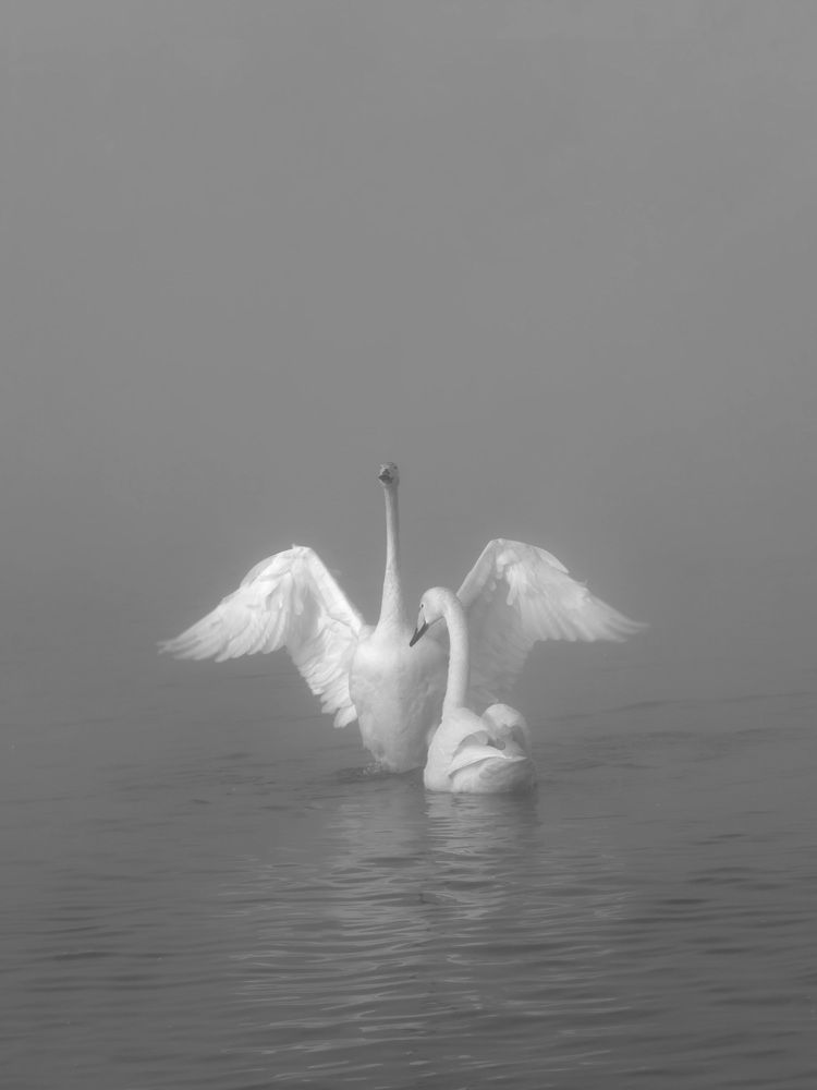 Photograph by Дмитрий Петухов