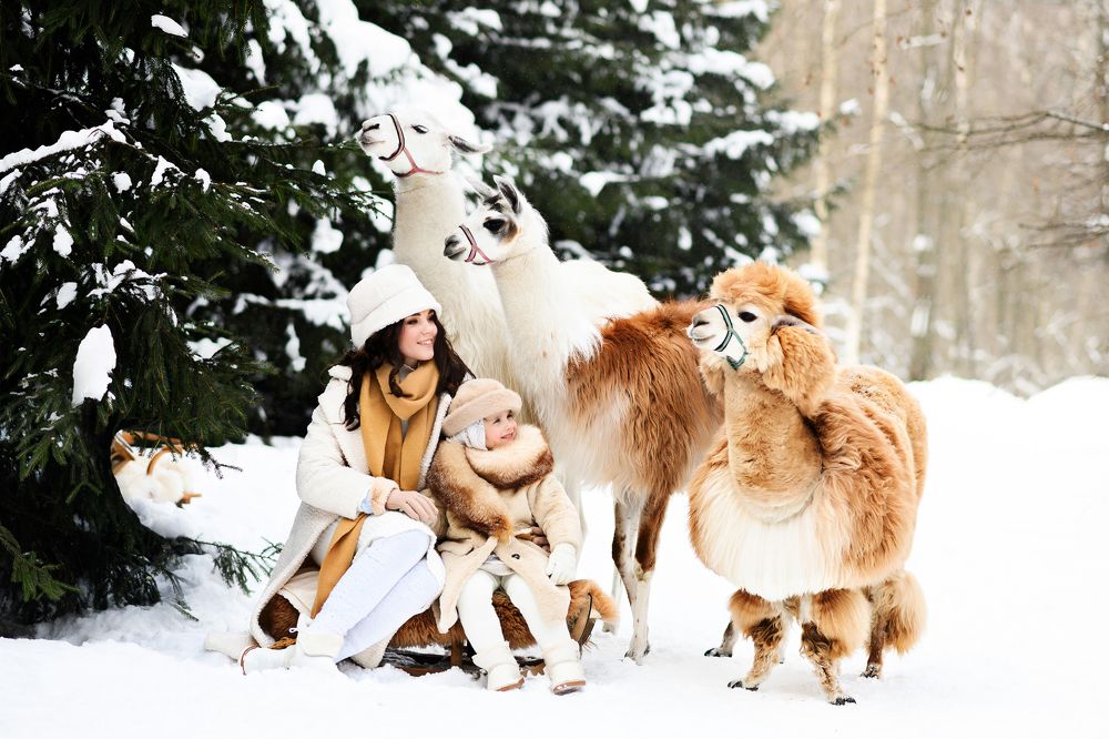 Photograph by Максим Сорокин