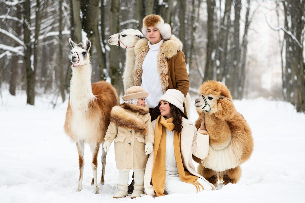 Photograph by Максим Сорокин