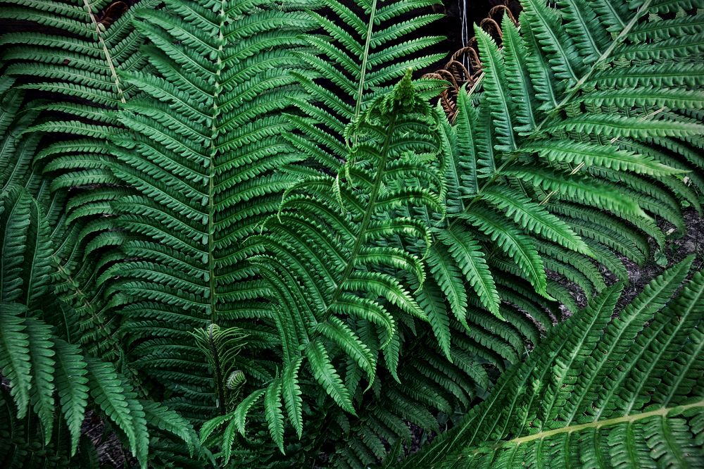 Photograph by Наташа Фишер