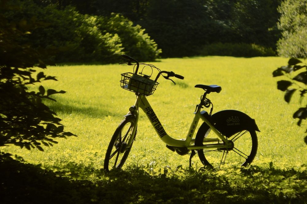 Photograph by Алиса Крумина