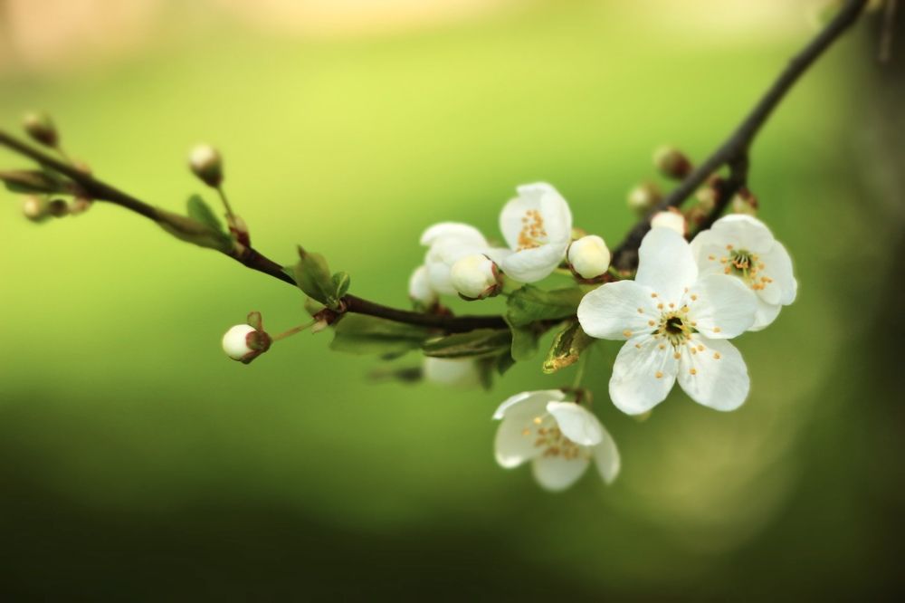 Photograph by Алиса Крумина