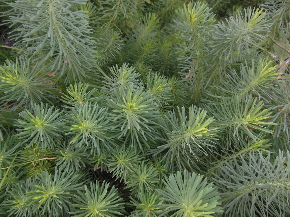 Photograph by Светлана Батурова