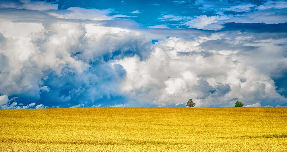 Photograph by Роман Солоха