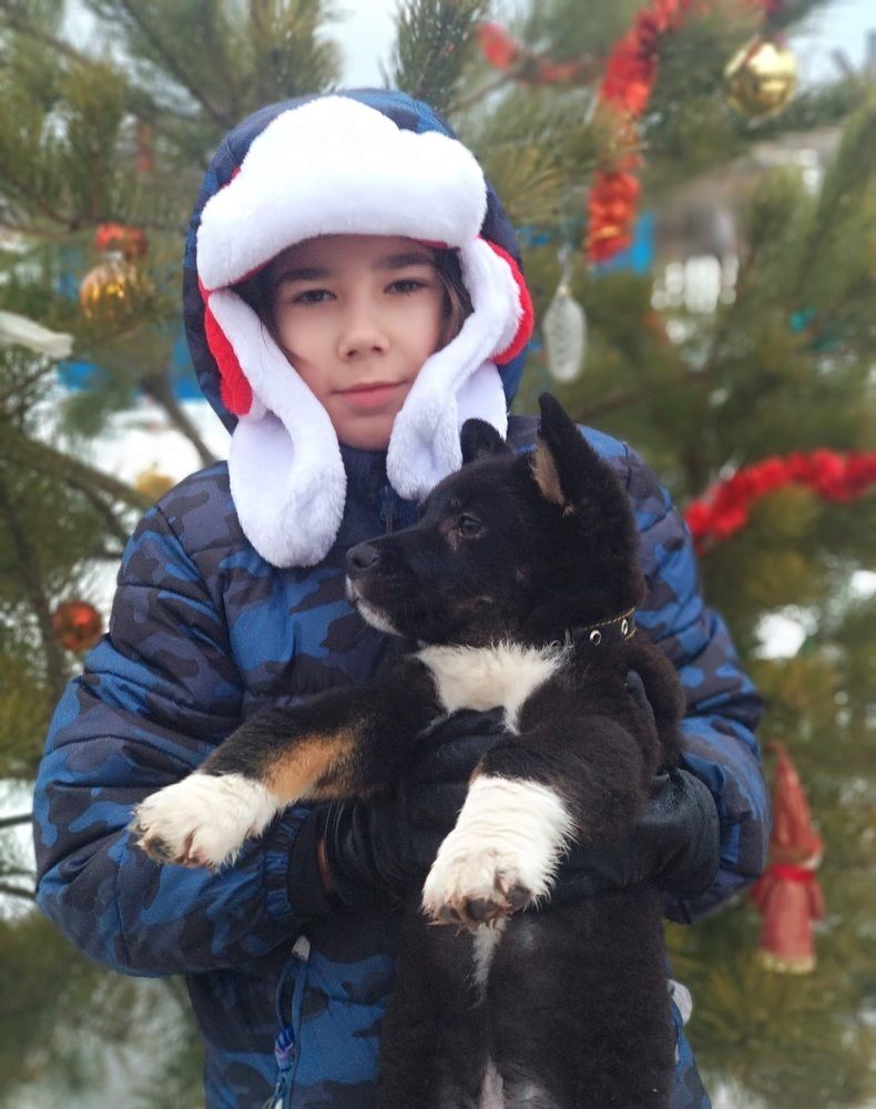 Фотография автора Ирина Васильева