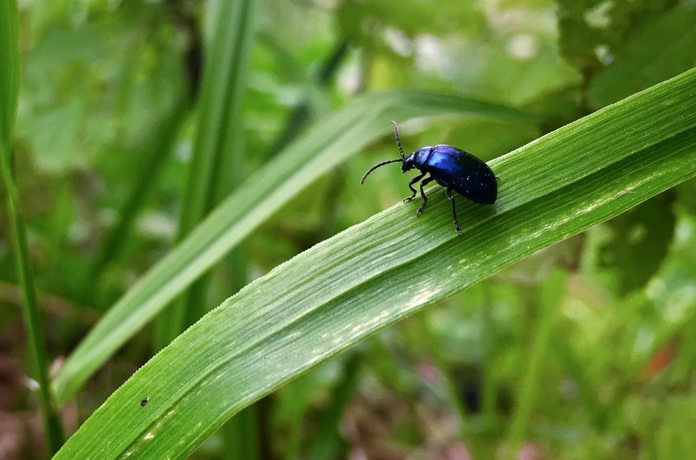 Photograph by Алиса Крумина