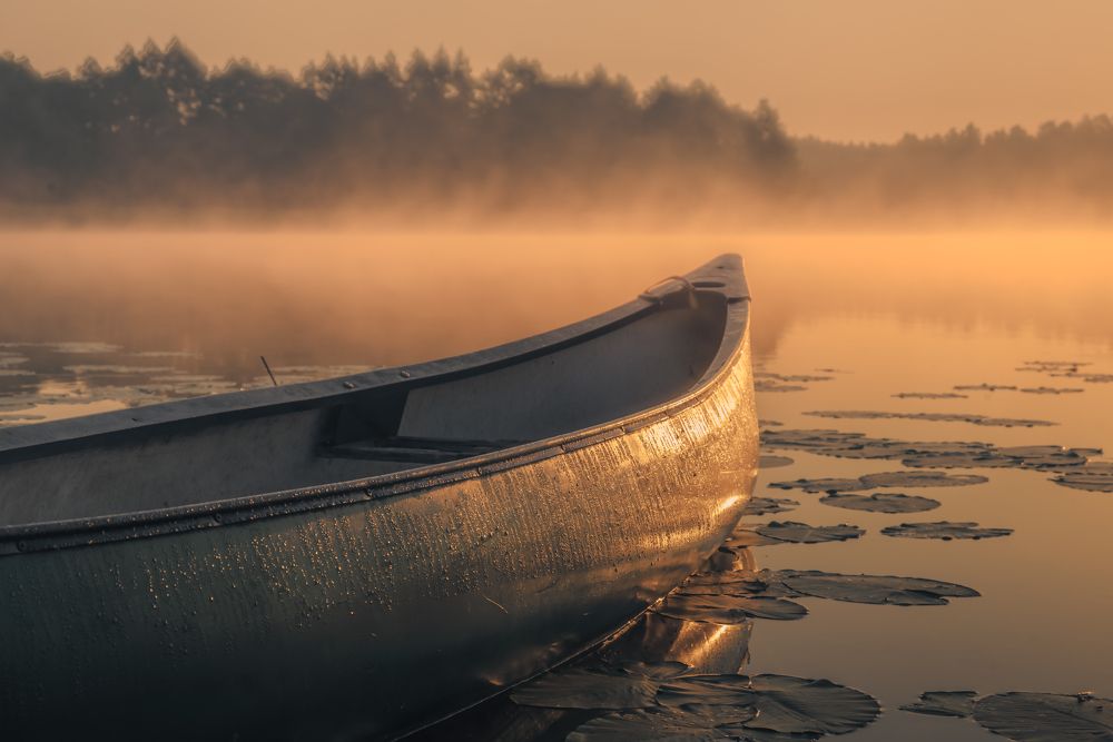 Photograph by Budyta Dariusz