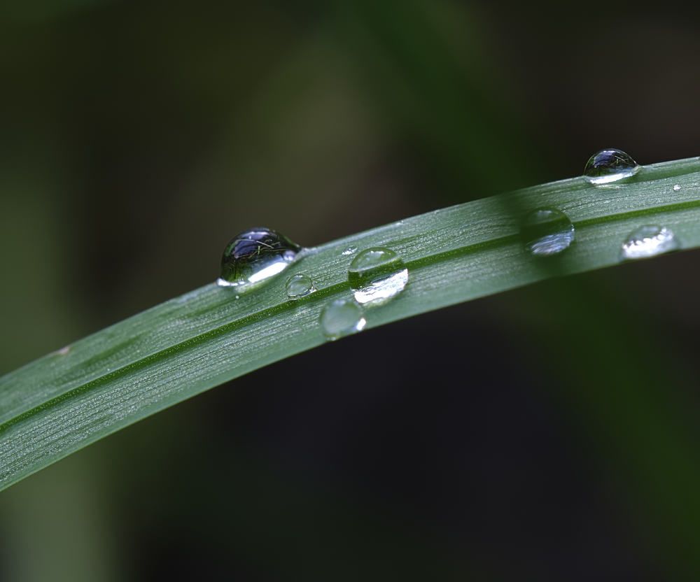 Photograph by Дмитрий Емельянов