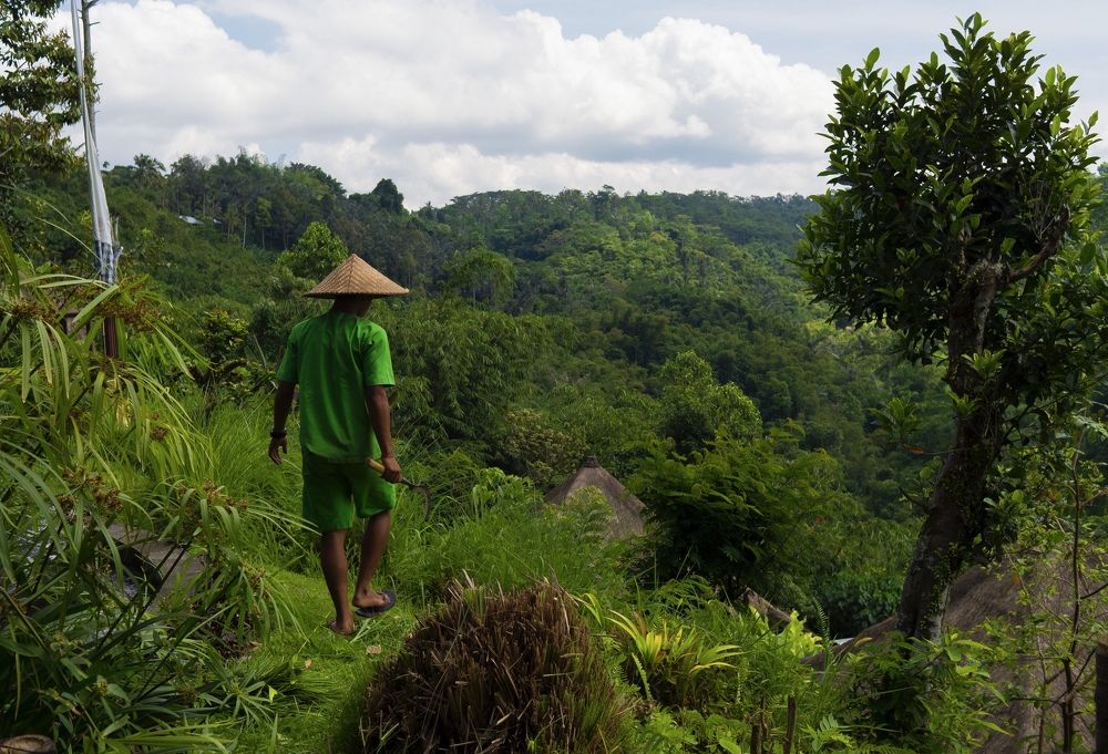 Photograph by Дмитрий Емельянов