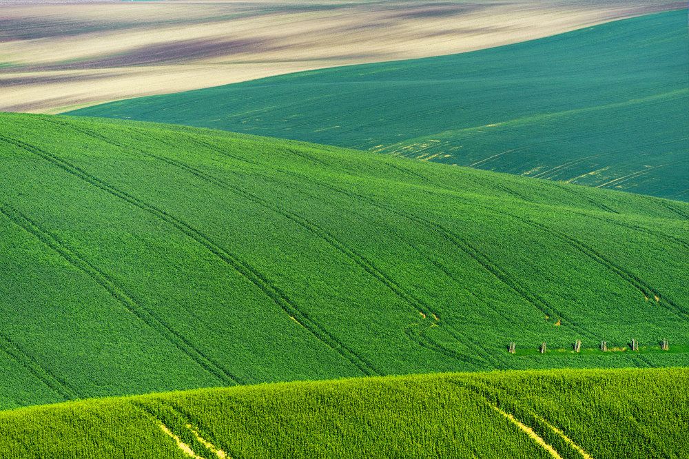 Photograph by Крицак Ольга