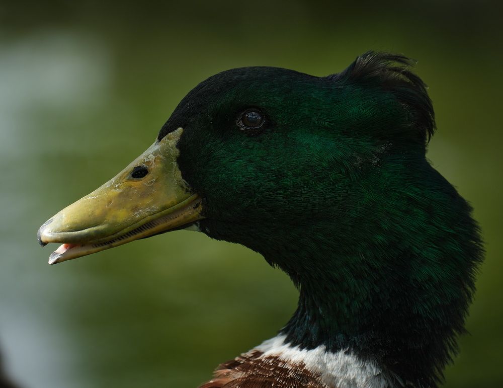 Photograph by Дмитрий Емельянов