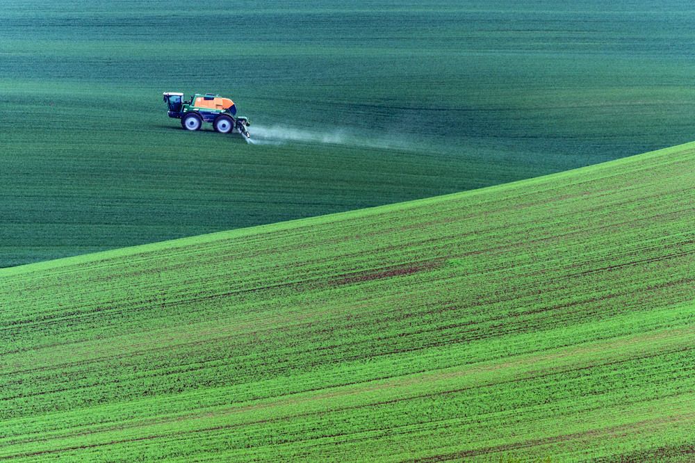 Photograph by Крицак Ольга