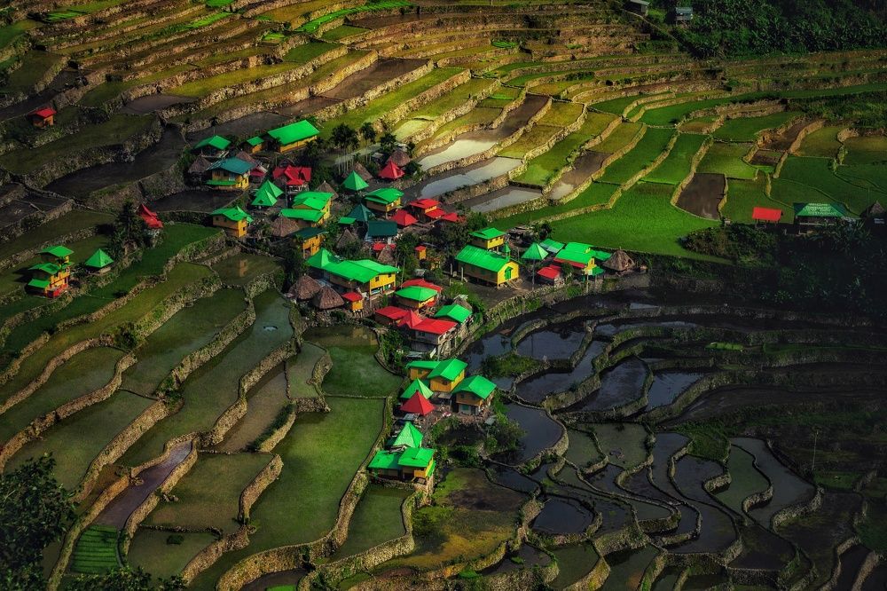 Фотография автора Максим Мишин