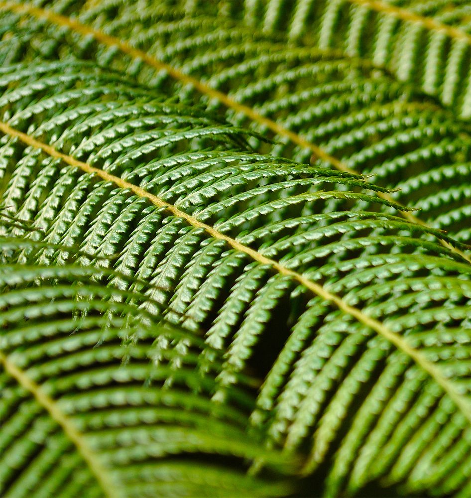 Photograph by Алексей