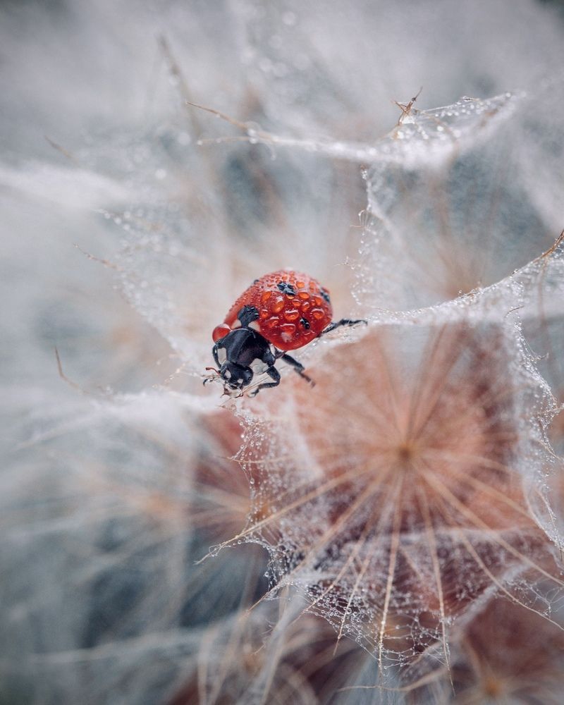 Photograph by Михаил