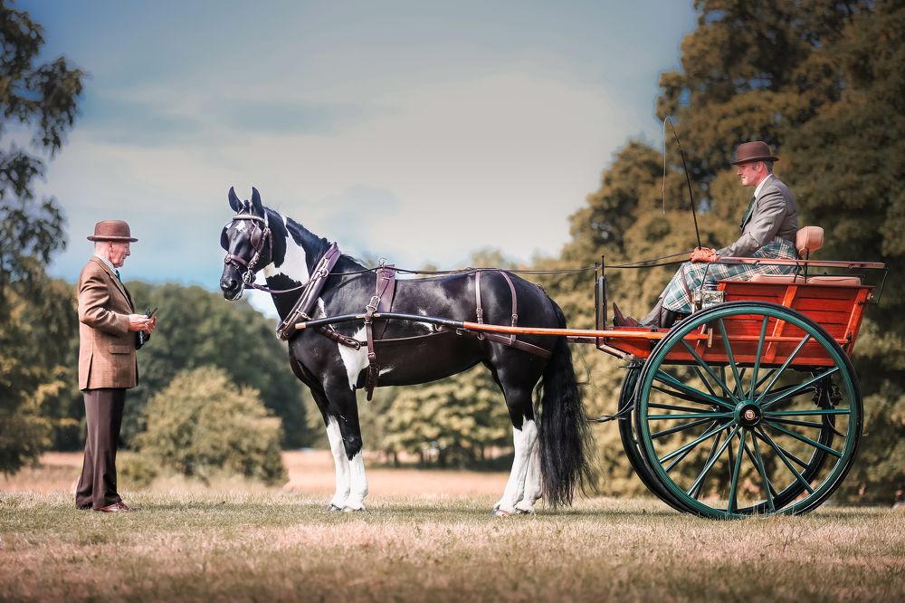 Фотография автора Nadina Ironia