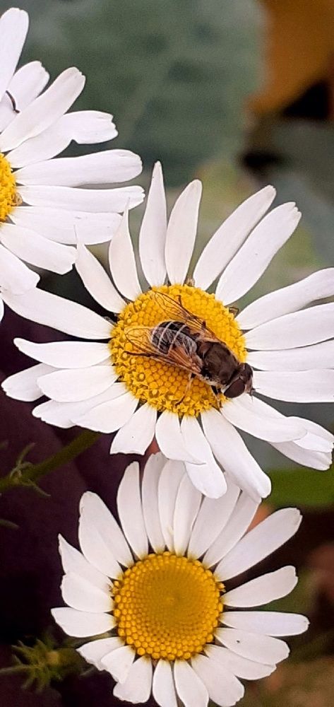 Photograph by Евгения Ульянова