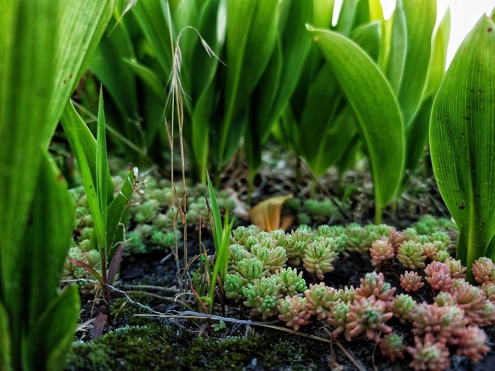 Фотография автора Дана Богинская