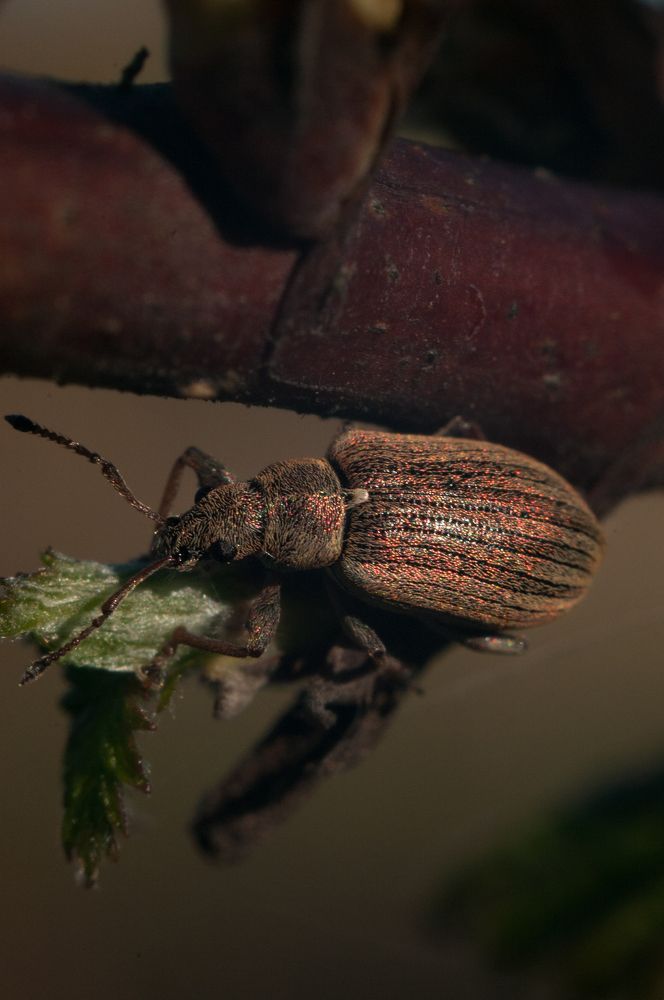 Photograph by Софья Лученкова