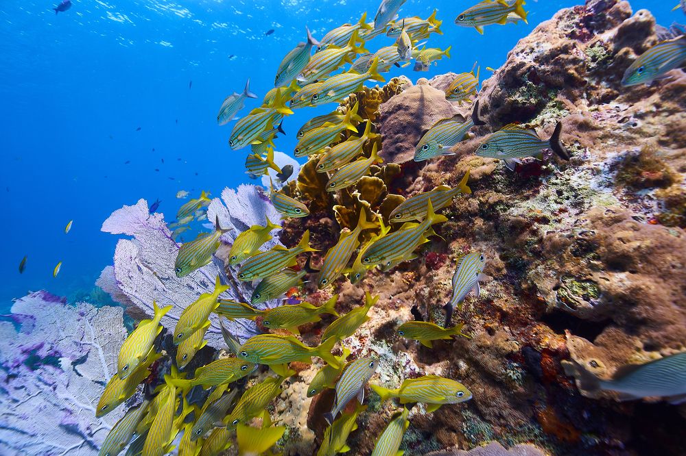 Photograph by Павел Карчевский